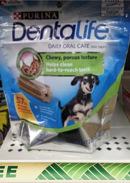 New DentaLife Dog Treat Coupon (Free at the Dollar Tree!) - FamilySavings